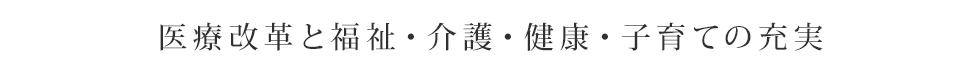 医療改革と福祉・介護・健康・子育ての充実